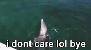 dolphin-doesnt-care
