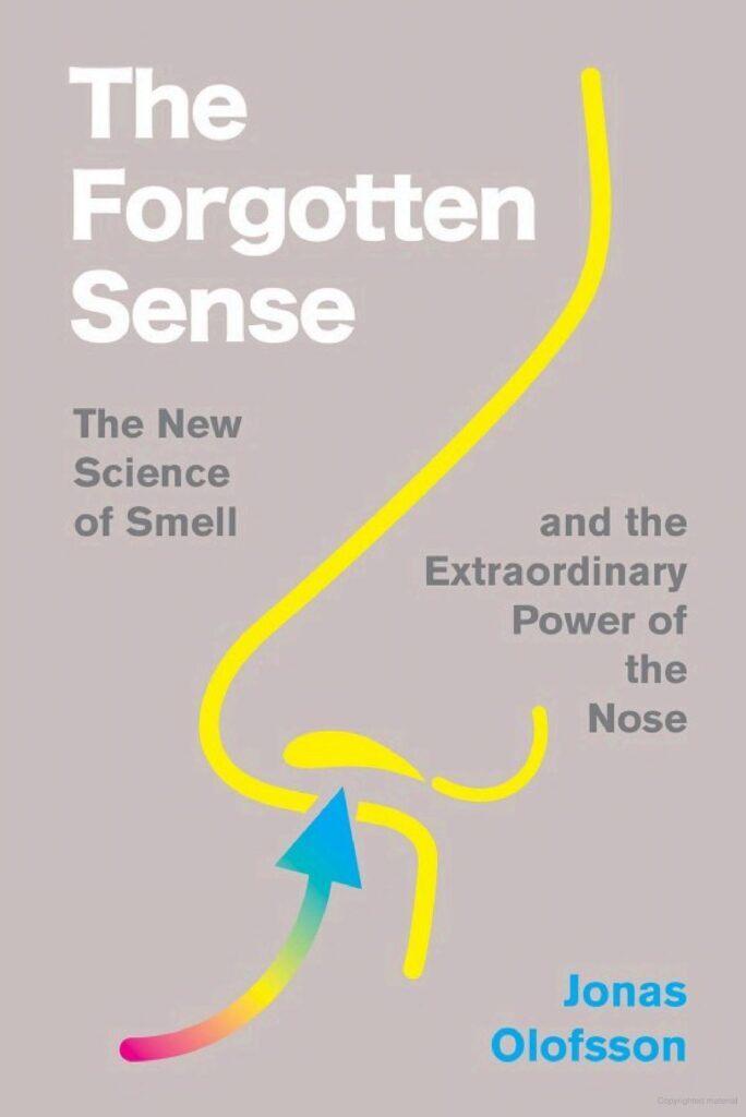 The Forgotten Sense by Jonas Olafsson